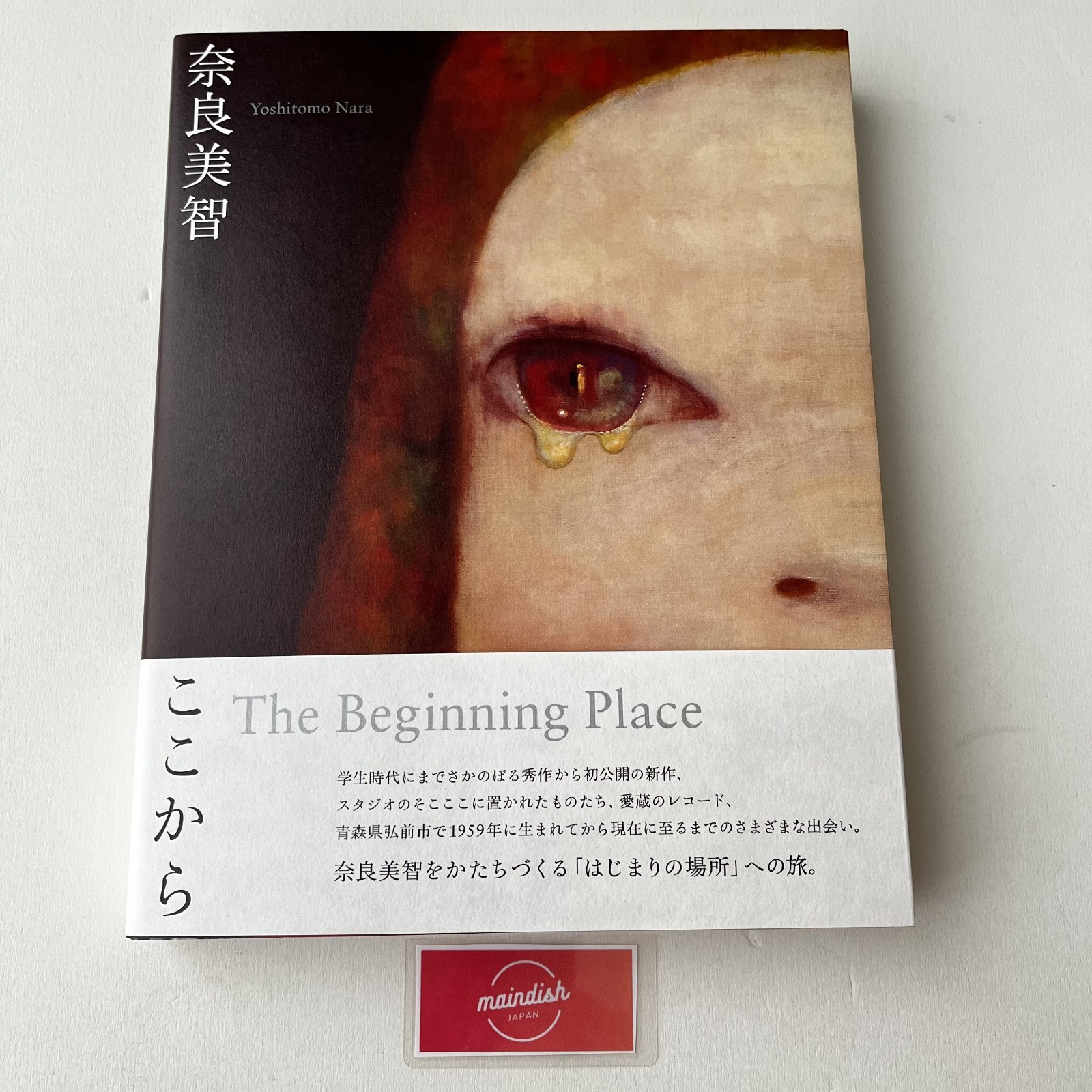 Yoshitomo Nara The Beginning Place Art Book Japanese Contemporary Art Kokokara