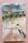 Pastures Of The Blue Crane by H.F Brinsmead, 1972, Hardcover, Ex-Library