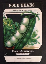 Vintage Card Seed Co. Seed Pack Unused - Pole Beans.   Excellent