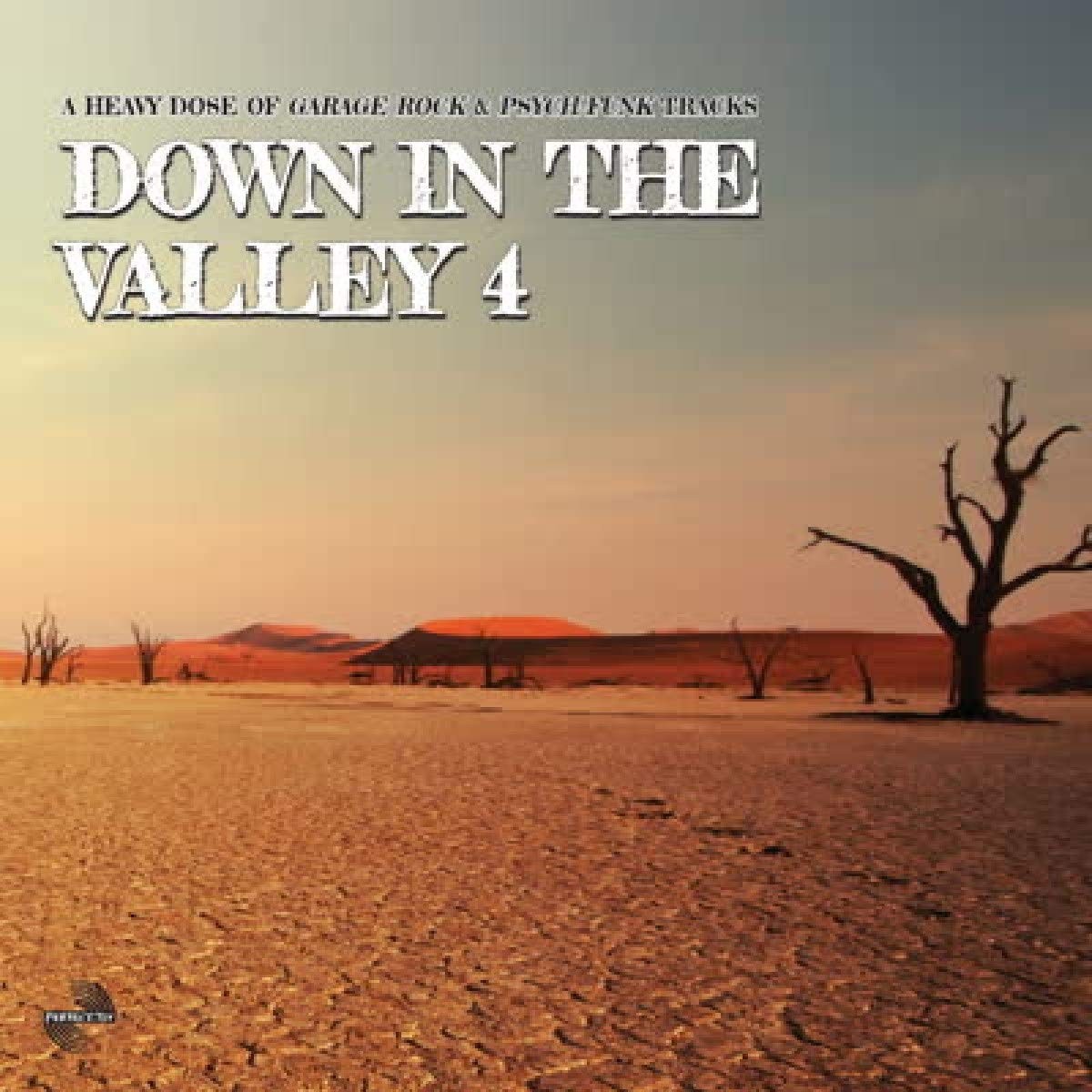 Aa.Vv. - Down In The Valley 4 Various Artists LP