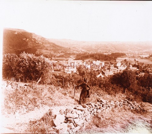 Plaque de verre positive Stereo Photo ancienne amateur paysage forêt