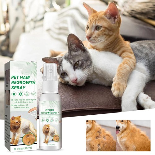 Cat Detangler Spray for Matted Hair Leave In Hair Conditioner Spray biological~ - Picture 4 of 9