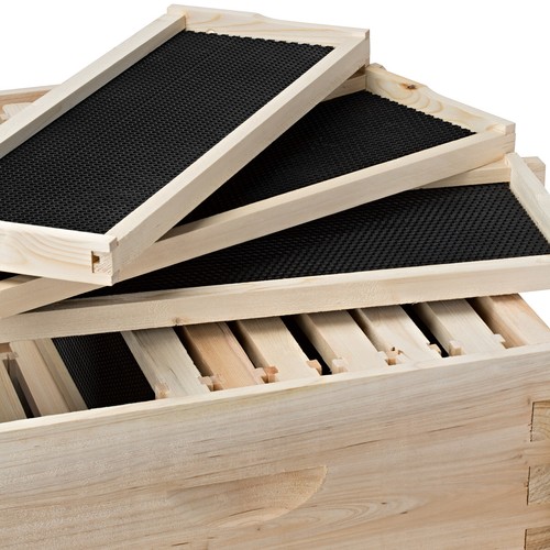 Beehive 20 Frame Complete Box Kit (10 Deep-10 Medium) Langstroth Beekeeping - Picture 4 of 7