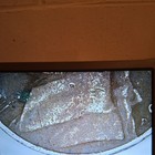 Picture 6 of 11