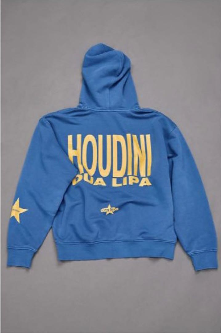 Zara Dua Lipa Hoodie Sweatshirt M | eBay