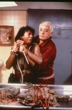 LMP76-156 1980s Return Of The Living Dead Don Calfa On Set Orig 35mm COLOR SLIDE LMP76-156 1980s Return Of The Living Dead Don Calfa On Set Orig 35mm COLOR SLIDE