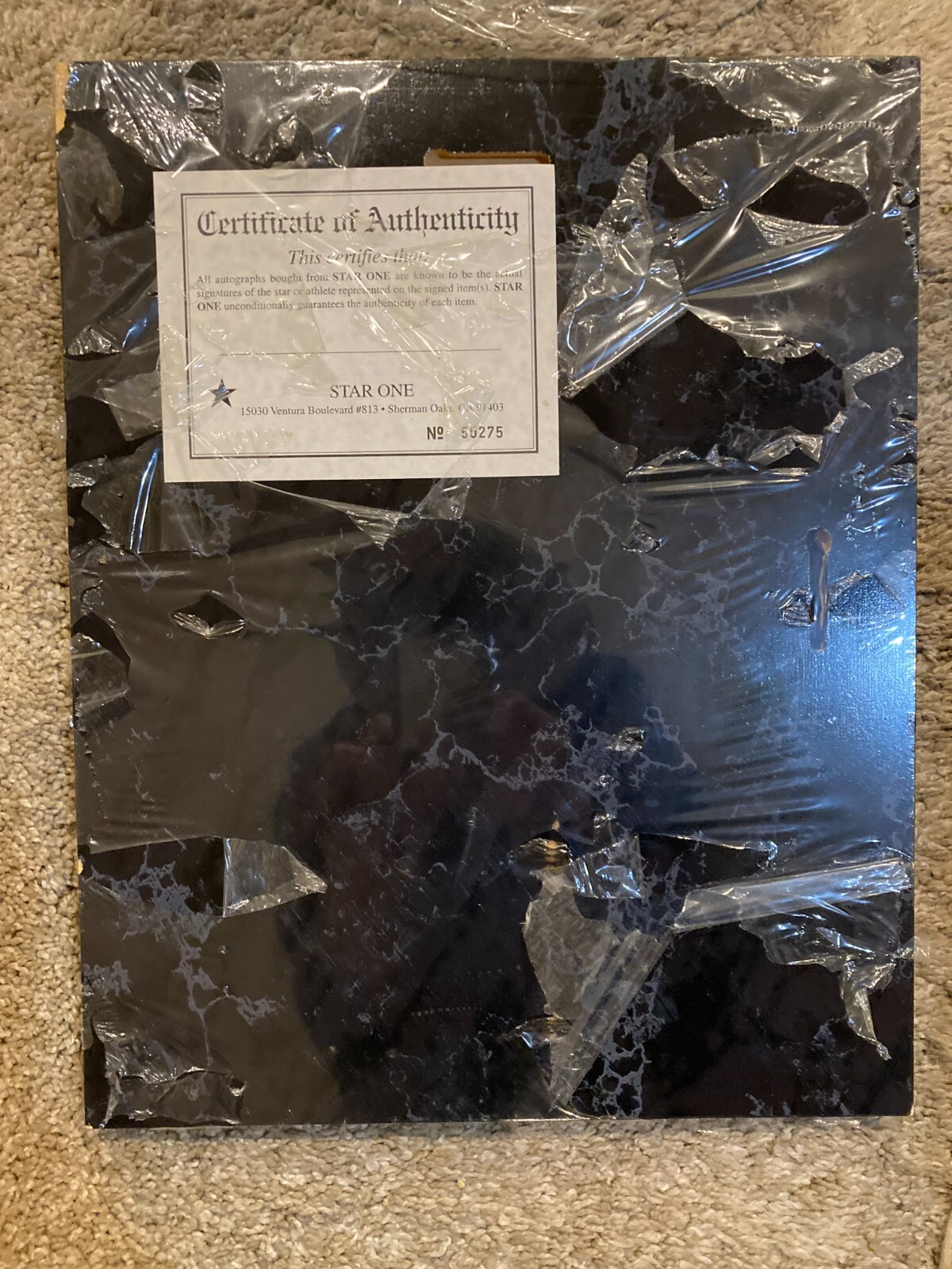 Picture 5 of 5