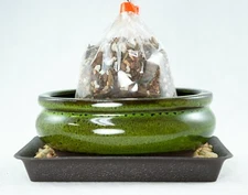 6" Oval Moss Green Glazed Bonsai / Succulent Pot + Soil + Tray + Rock + Mesh Kit