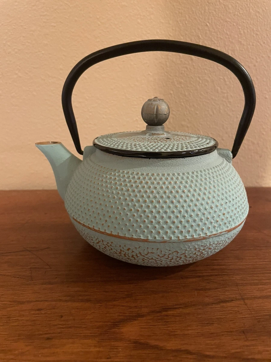 Cast iron 2025 enamel teapot