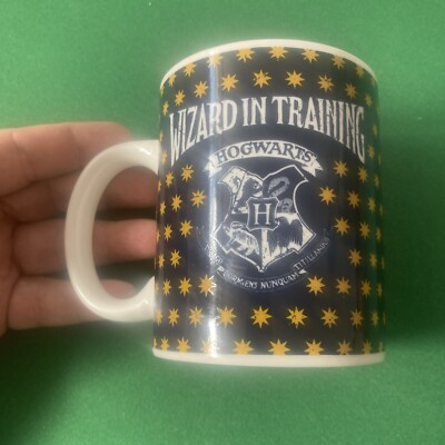 Harry Potter Hogwarts Tasse Zauberer im Training PALADONE