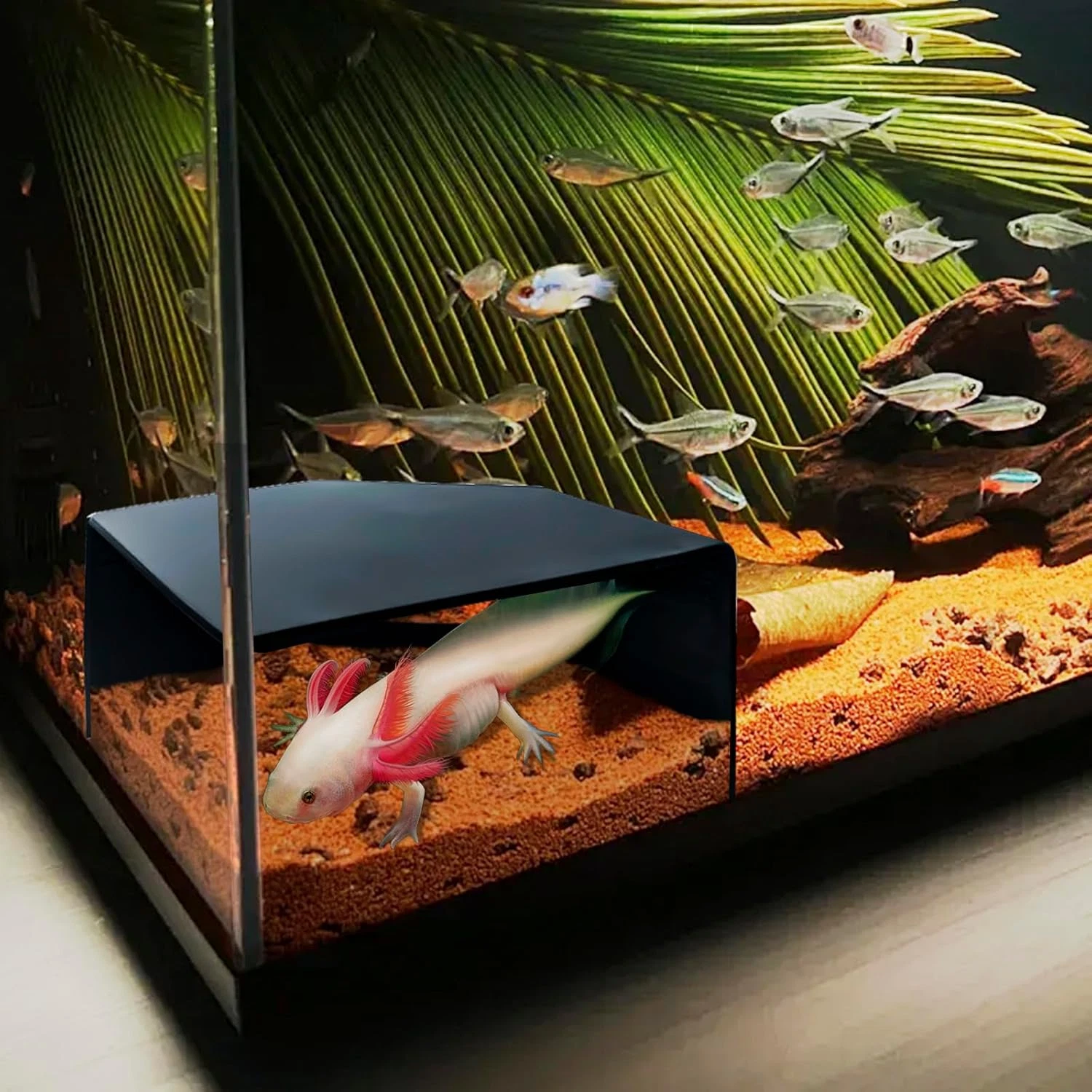 Aquarium Corner Cave Hide Axolotl Cichlid Cave Fish Tank Accessories, Corner Fis
Opens in a new wind