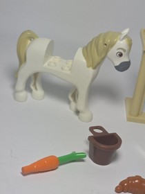 LEGO Disney: Rapunzel's Best Day Ever (41065) Figure + Replacement Accessories 