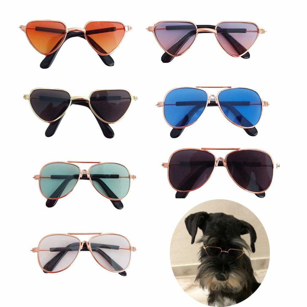 Occhiali da sole per cani antiriflesso occhiali da volo piccoli gatti cane animali domestici accessori foto 2