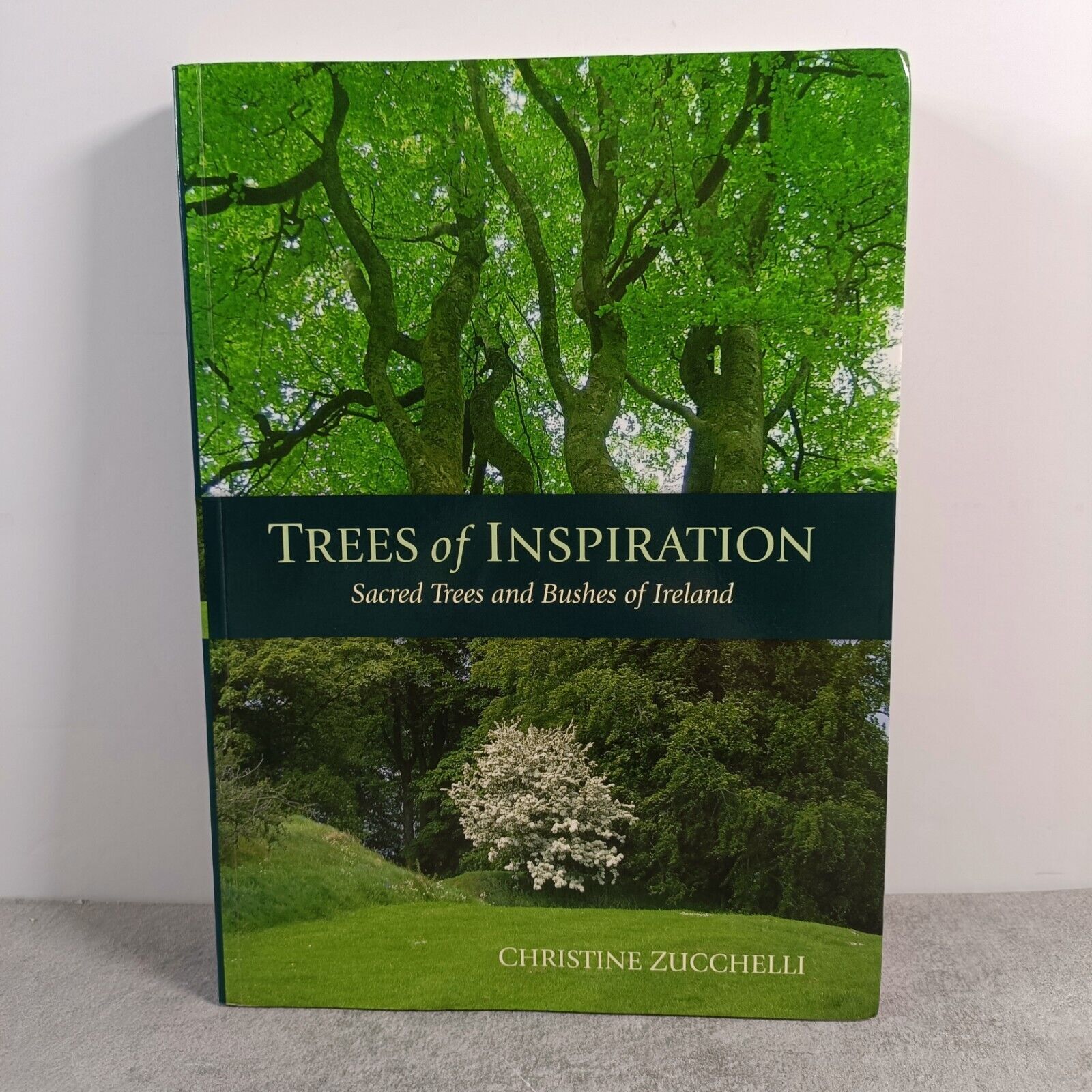 Trees of Inspiration: Sacred Trees and Bushes of Ireland Christine Zucchelli