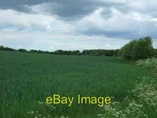 Photo 6x4 Crop field near Paine's Manor Church Street  c2017