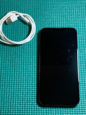 Apple iPhone 13 Pro Max- 128GB - Alpine Green (Unlocked) A2484