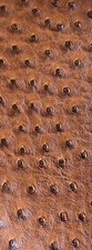 sample Chestnut ostrich faux vinyl
