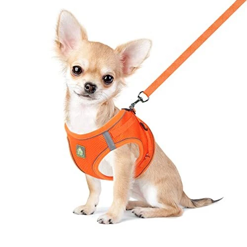 Dog Harness and Leash Set, No Pull Breathable XS (Chest 10.2-11.4'') Orange