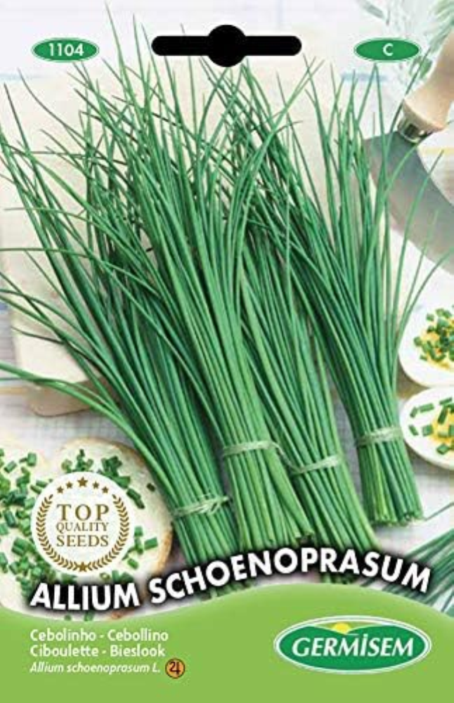 Allium Schoenoprasum Semi di Erba Cipollina 2 g