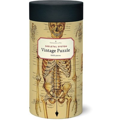 Cavallini & Co. Skeletal System Vintage Style 1000 Piece Puzzle