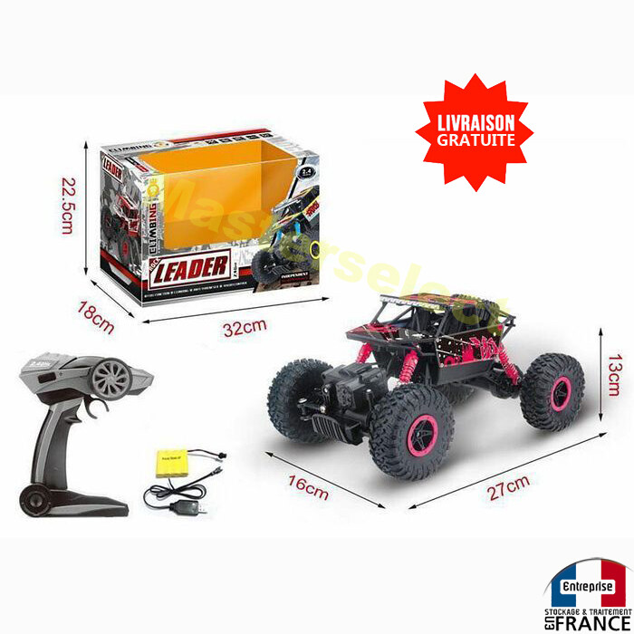 Voiture stunt monster escalade antichoc télécommandée pour surmonter les obstacles du jardin
