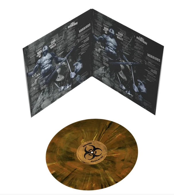 Biohazard Divided We Fall LP 33T 12" marbled vinyl album 93/500 NYHC - Image 4 of 4