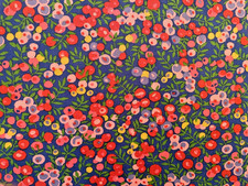 Liberty  Organic Tana Lawn *Wiltshire*