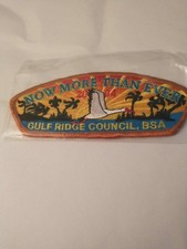 BSA, Gulf Ridge Council, 2004 S-37, FOS, Bron...
