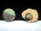 Antietam Civil War Relic Dug Near Dunker Church Brass & Pewter Cuff Buttons