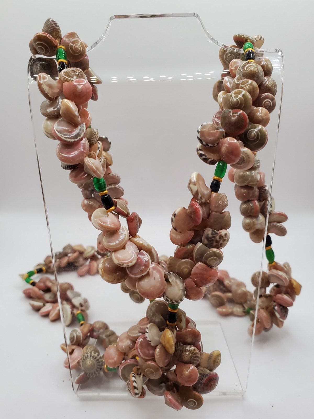 Vintage Seashells Button Shell Necklace Umbonium … - image 1