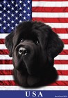 Bouvier des Flandres Black All-American Ii Flag