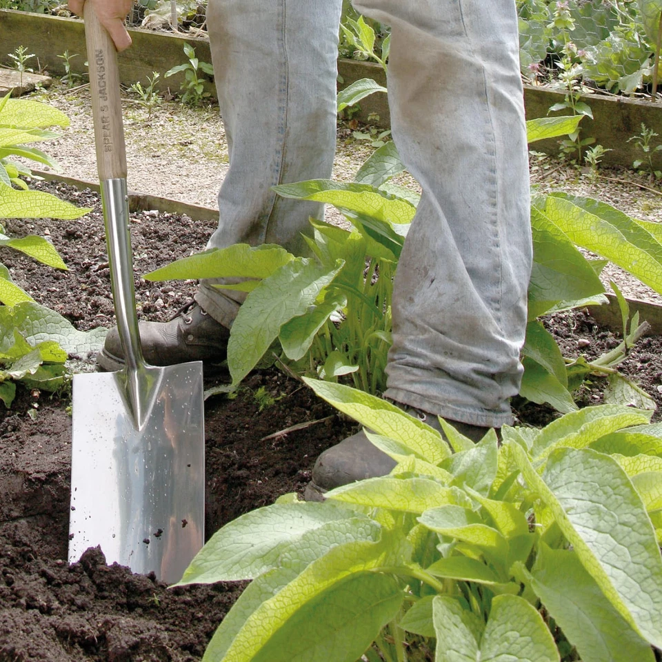 Spear & Jackson Traditional Stainless Border Spade, Stainless Steel Head - Image 4 of 4