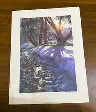 Chicago Artist Tom Lynch Limited Edition Print Snow Shadows” signed And numbered