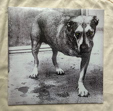 ALICE IN CHAINS Self-Titled UK/Europe Vinyl L...