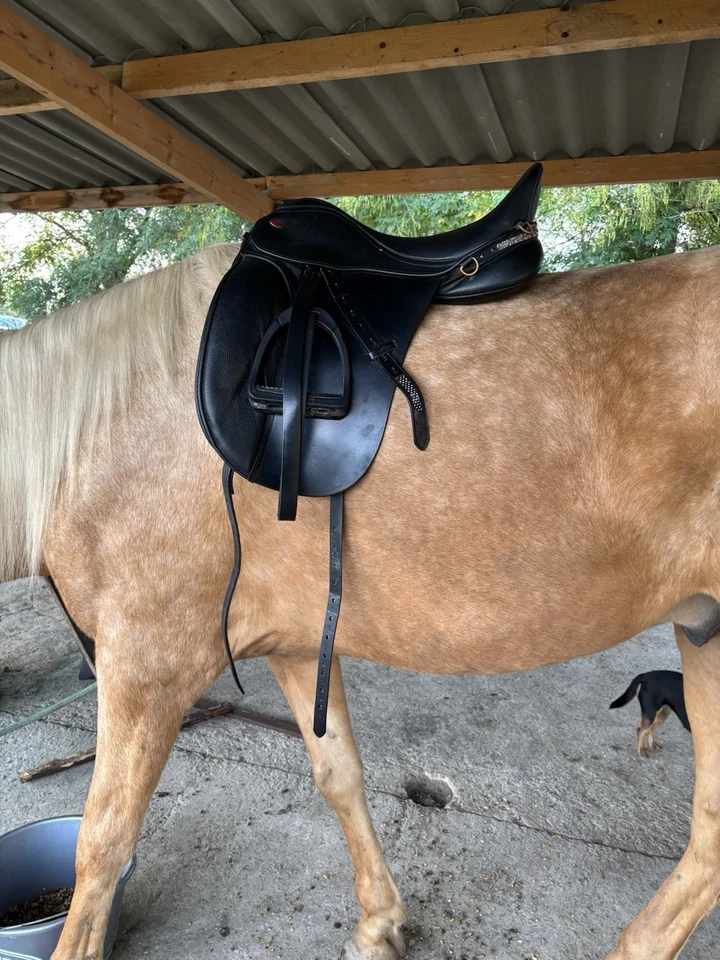 selle dressage - Photo 2/4