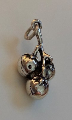 Sterling Silber 3D 20x10mm Schwer 3,5 Gramm Tomaten Tomate auf Ranke Charm