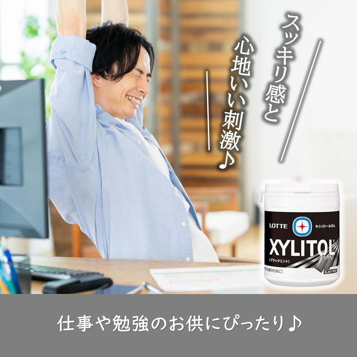 Lotte Xylitol Black Mint Chew Gum 143g Made In Japan | eBay