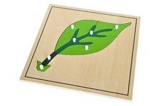 Leaf Puzzle - MONTESSORI BIOLOGY / BOTANY MATERIALS