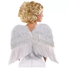 White Angel Wings