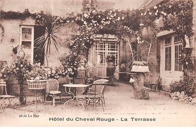 41 - Montoire An Der Loire - San34529 - Hotel Des Roten Pferdes - Die Terrasse