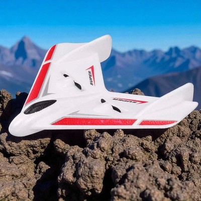 RC ferngesteuertes Segel-Flugzeug, Modell-Flieger mit Akku und Fernsteuerung