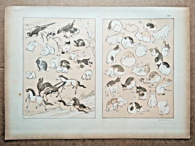 Zwei Seiten Skizzen: Katzen und Tiere - antiker japanischer Kunstdruck - 1891