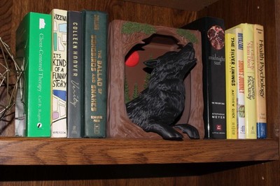 Wolf Book Nook Howling in Twilight Hours - Fantasy Bookish Merch - Gift For Read
