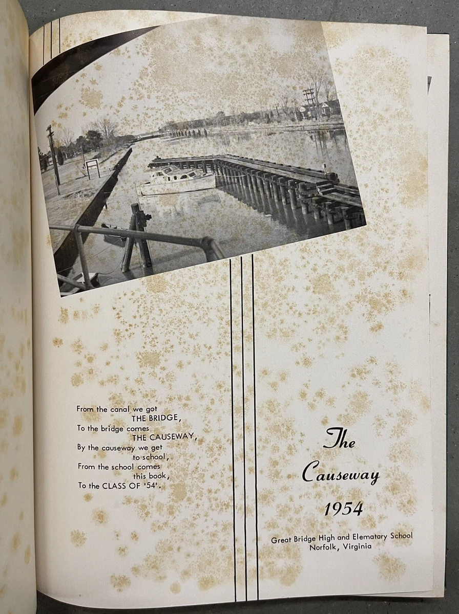 Great Bridge High School Virginia