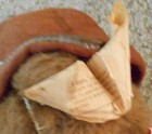 Vintage Buckaroo Bear 19" Elegante By Dakin w/hat, kerchief, glove, Chaps, Tag — photo 9