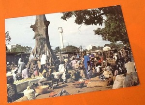 en vente et garantie de qualité à 100% Carte postale Côte d 