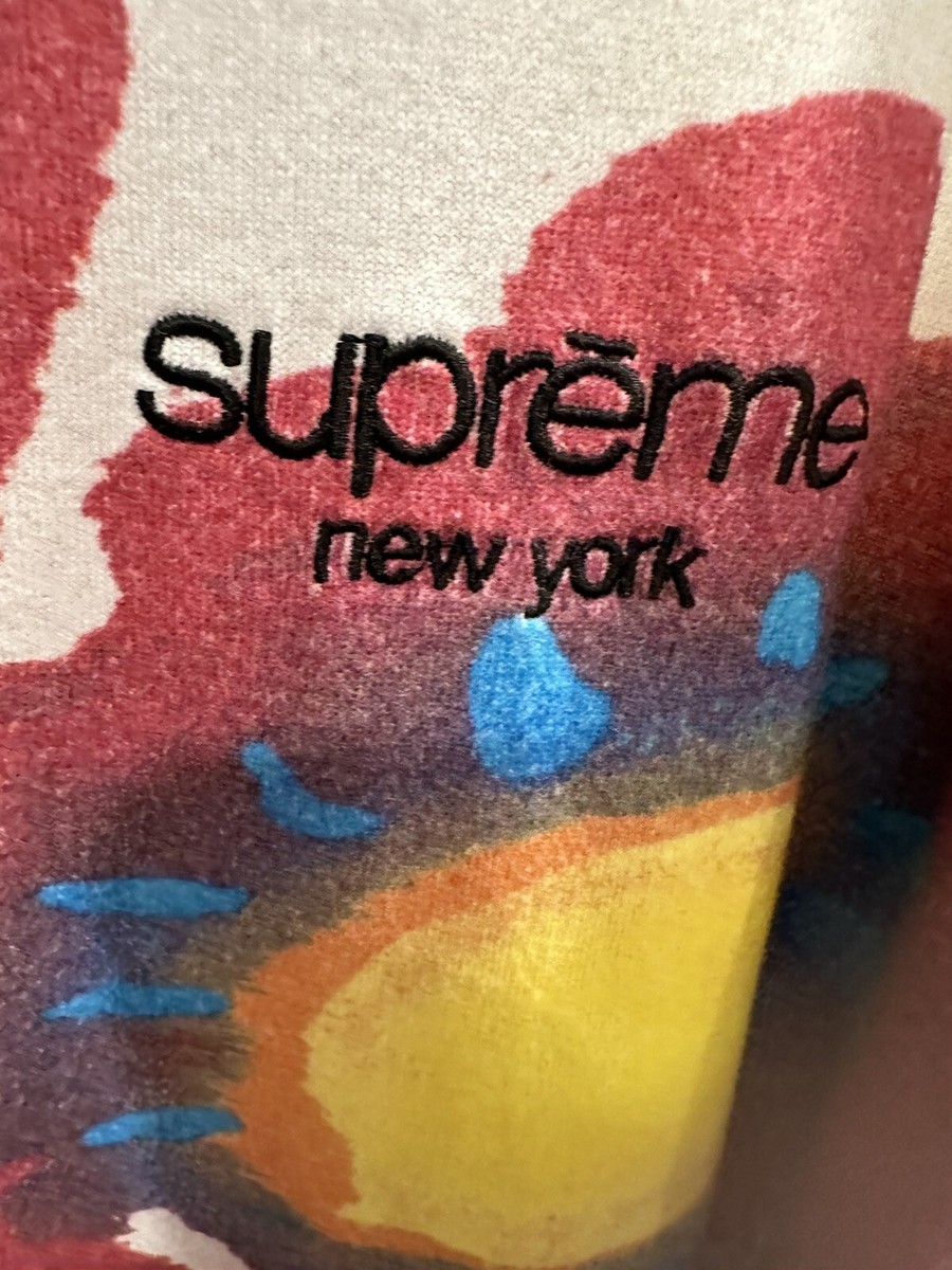 Supreme - Painted Flowers - XL - Multi - Long Sleeve L/S Shirt