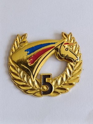 Pin's FFE Französischer Verband Reiten Diplom Medaille Level 5