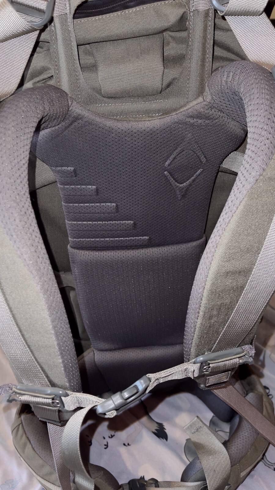 Mystery Ranch Pintler Hunting Pack on MT Guidelight Frame in Foliage Flawless eBay