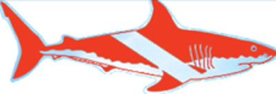 Scuba Diving Bumper Sticker Decal ''Dive Flag Shark'' 6'' DS62